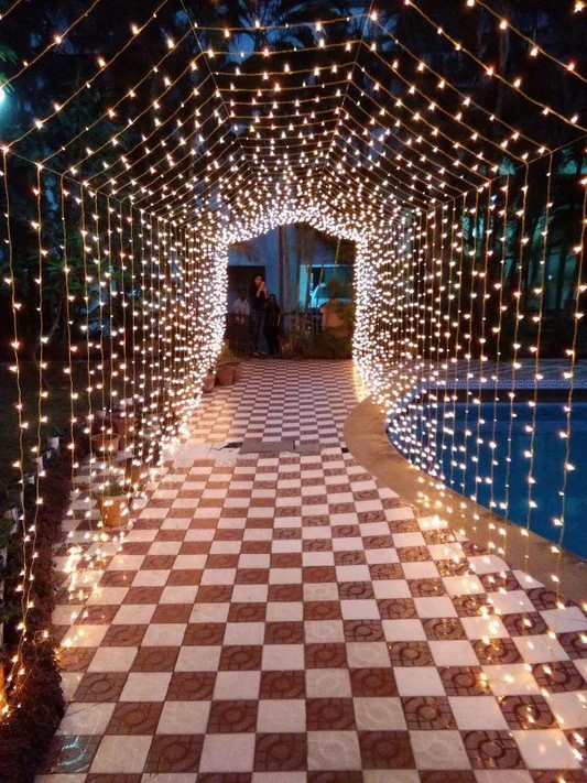 Magical_Tunnel_of_Lights_for_Walkways_or_Events.webp