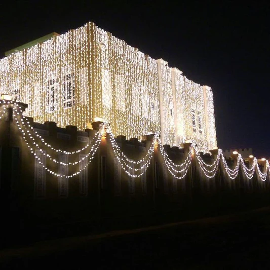 Sparkling_Outdoor_LED_House_Decoration_Lights.webp